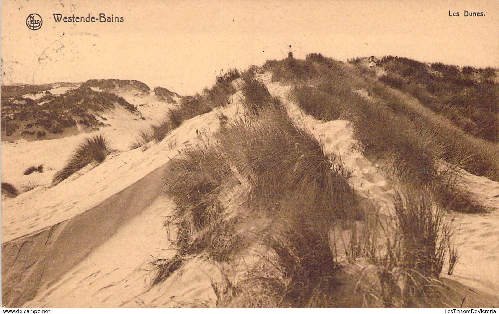 BELGIQUE - WESTENDE - Les Dunes - Carte Postale Ancienne - Westende