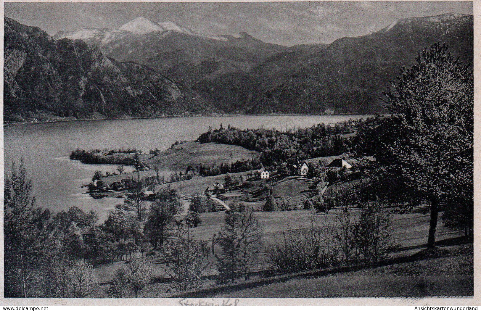 Stockwinkel Am Attersee 1948  (12719) - Attersee-Orte