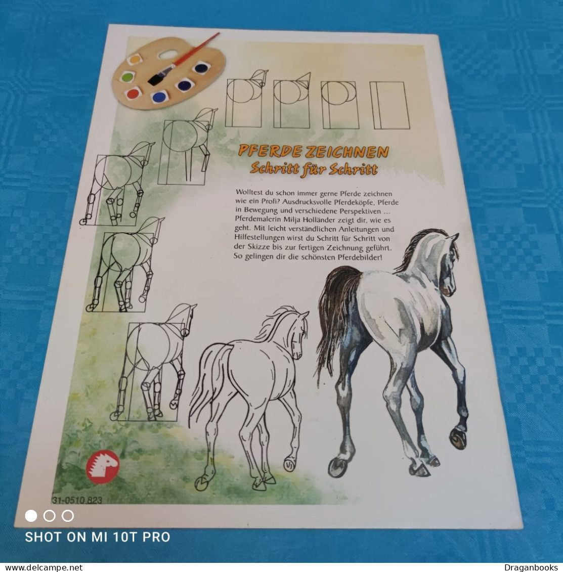Milja Holländer - Pferde Zeichnen - Schritt Für Schritt - Pittura & Disegno