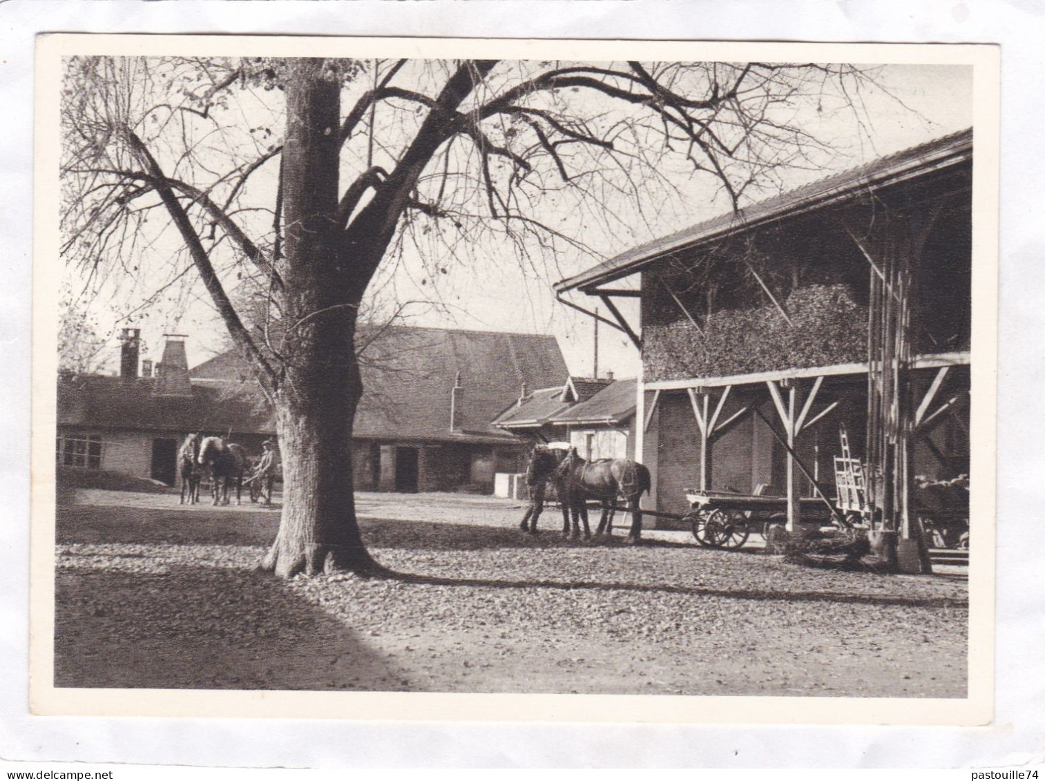 CP. 14,7 X 10,5 -  Les Asiles De Lavigny, Destinés Aux Epileptiques De La Suisse Romande. - Un Coin De La Ferme - Lavigny