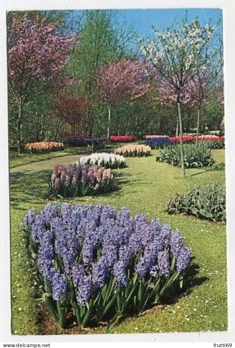 AK 128644 NETHERLANDS - Lisse - Keukenhof - Lisse