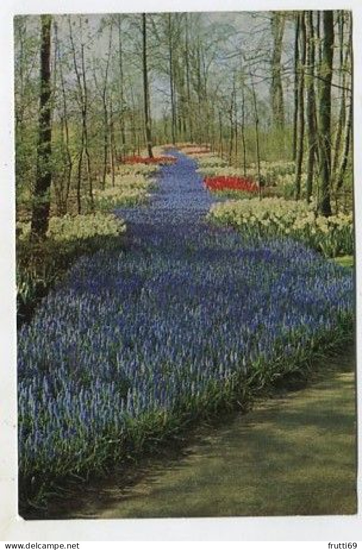 AK 128645 NETHERLANDS - Lisse - Keukenhof - Lisse