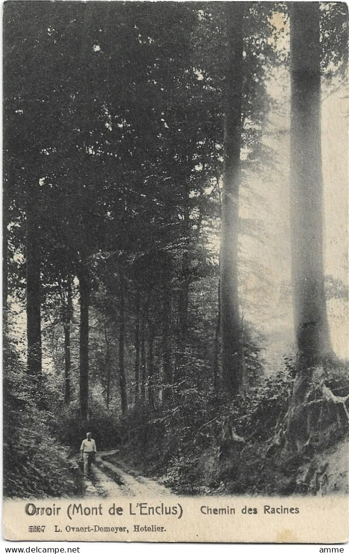 Orroir  -  Mont De L'Enclus - Kluisberg  *    Chemin Des Racines - Kluisbergen