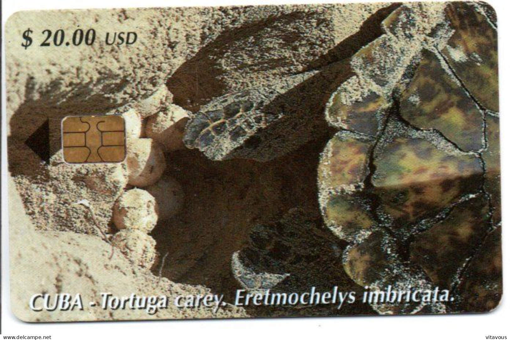 Tortue Tortoise Turtle Cayman Télécarte CUBA Phonecard  Telefonkarte (G 933) - Cuba