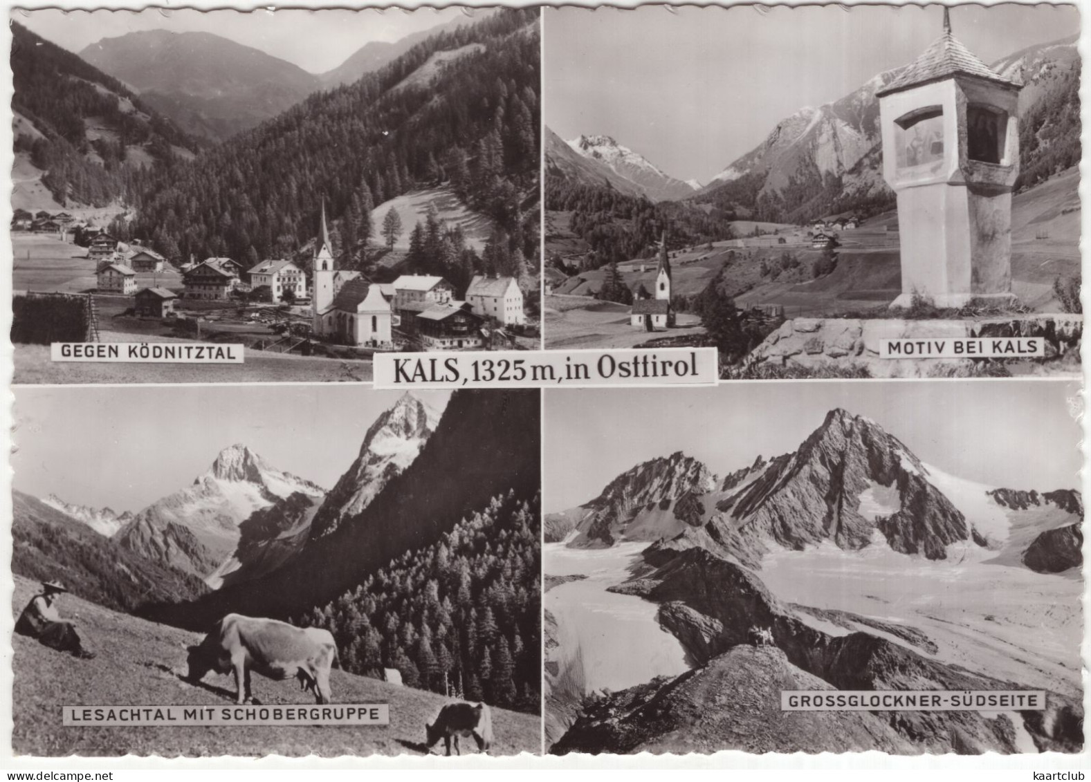 Kals, 1325 M, In Osttirol - Gegen Ködnitztal, Motiv, Grossglockner-Südseite, Lesachtal - (Osttirol, Österreich/ Austria) - Kals