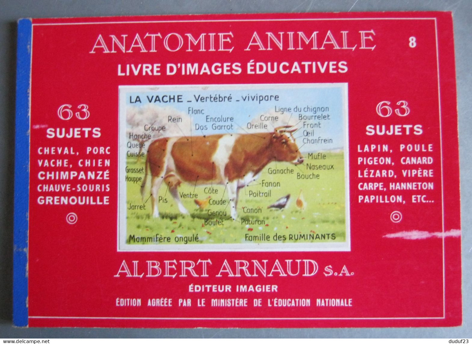 LIVRE D'IMAGES EDUCATIVES N°8 ANATOMIE ANIMALE ALBERT ARNAUD 63 SUJETS CIRCA 1960 - Chromos