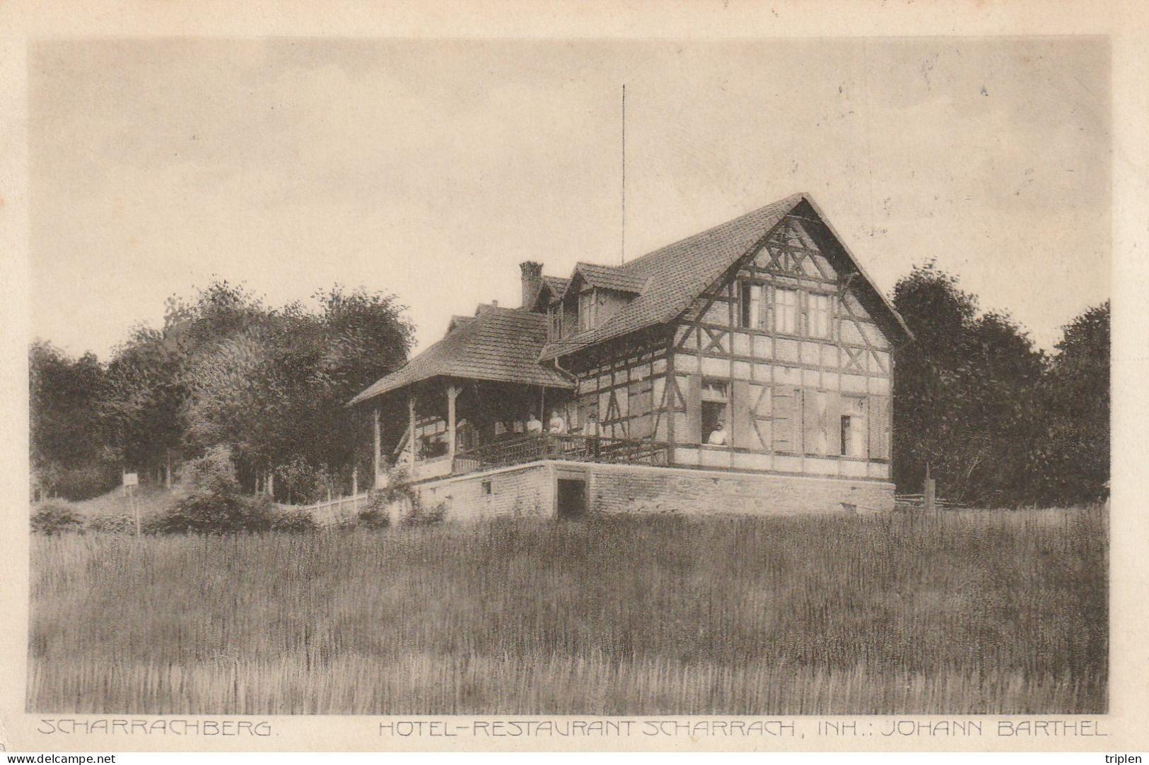 Scharrachberg - Hotel Scharrach - Barthel - Other & Unclassified