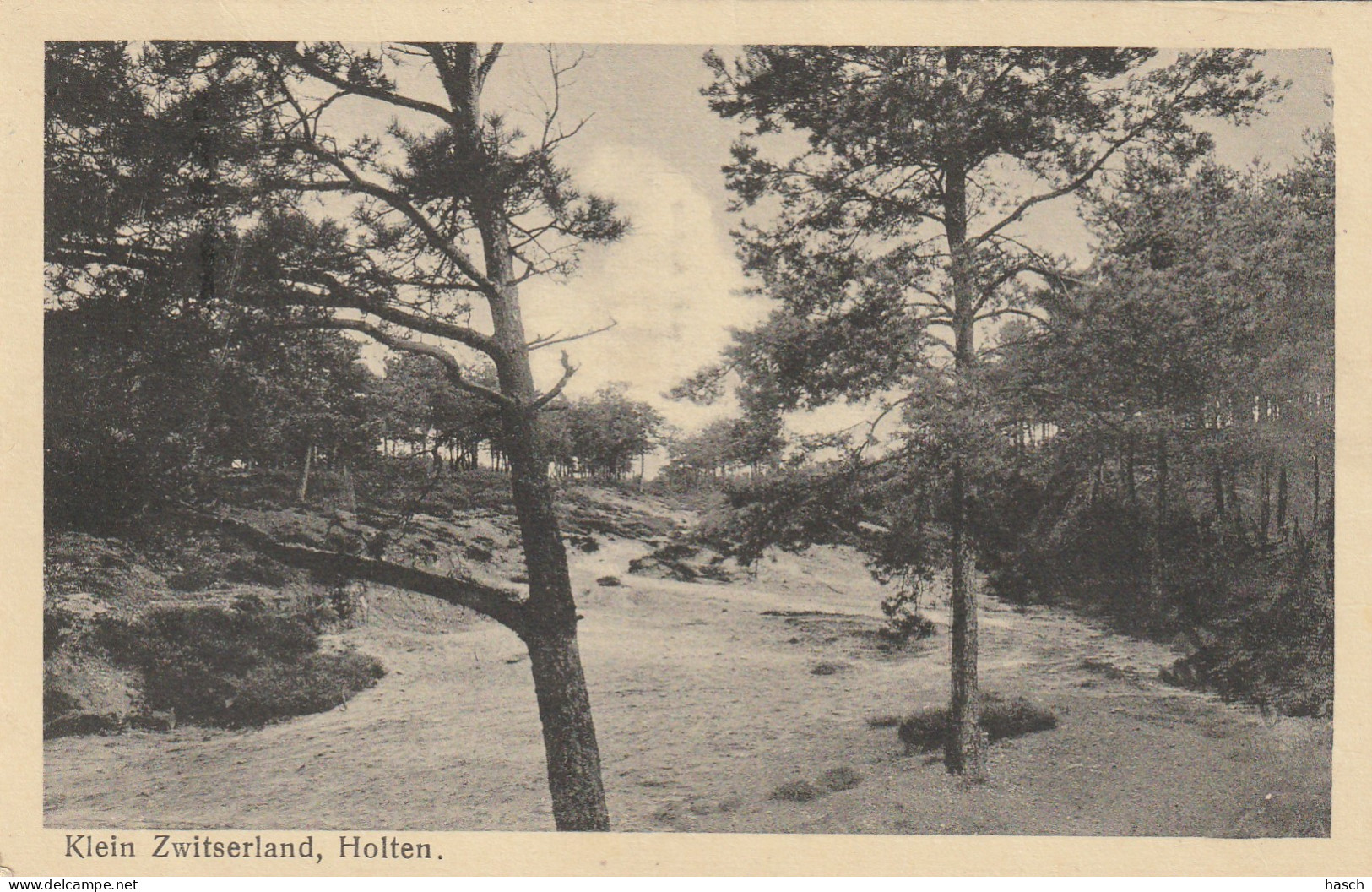 4894 217 Holten, Klein Zwitserland 1933 Met LBST 0054 Oldenzaal Station  1 (achterzijde Iets Beschadigd) - Holten