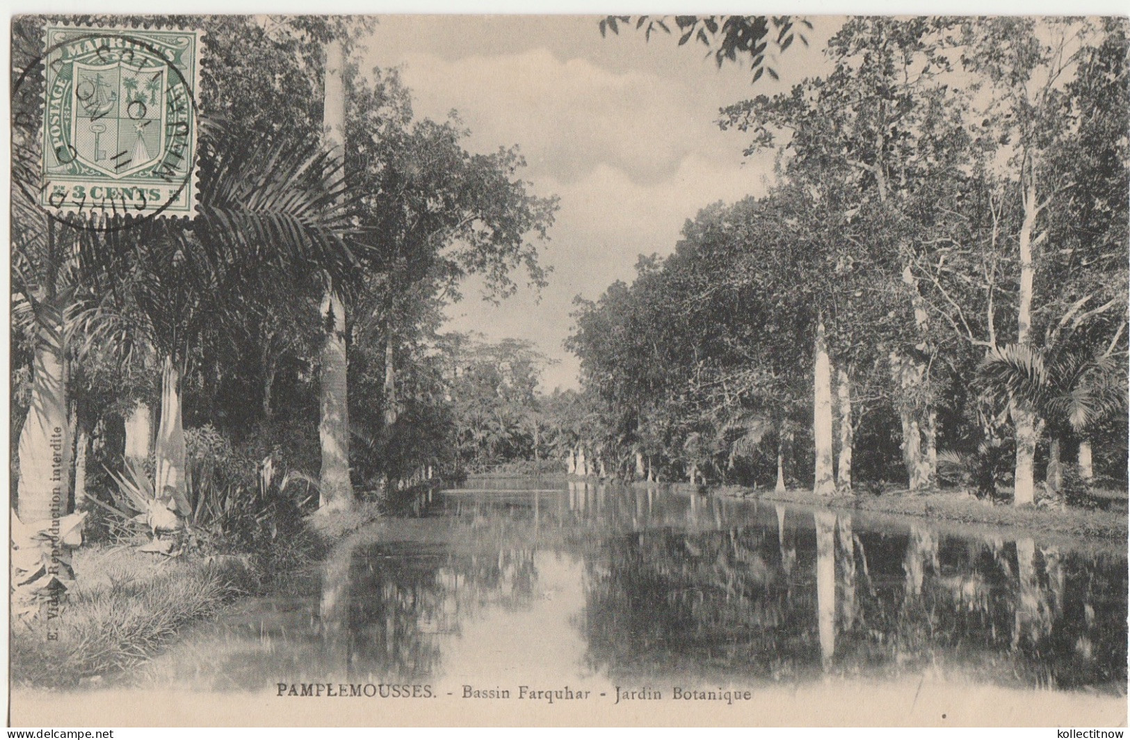 PAMPLEMOUSSES - BASSIN FARQUHAR - JARDIN BOTANIQUE - MAURITIUS - Maurice