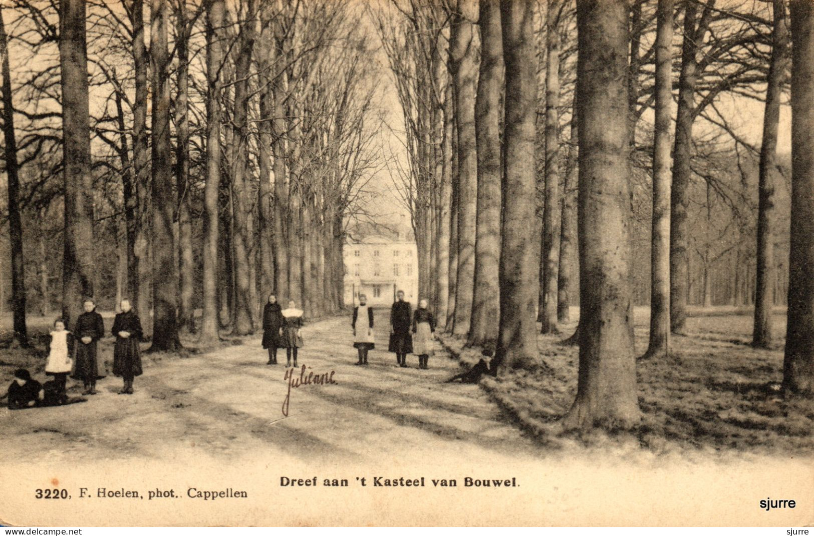 BOUWEL / Grobbendonk - Dreef Aan 't Kasteel Van Bouwel - Château - Grobbendonk