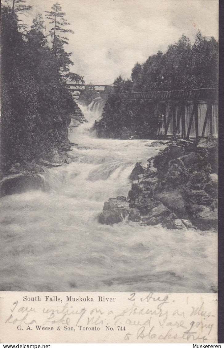 Canada CPA South Falls, Muskoka River G. A. Weese & Son, Toronto No. 744 BINGHAMPTON 190? To NEW YORK (2 Scans) - Muskoka