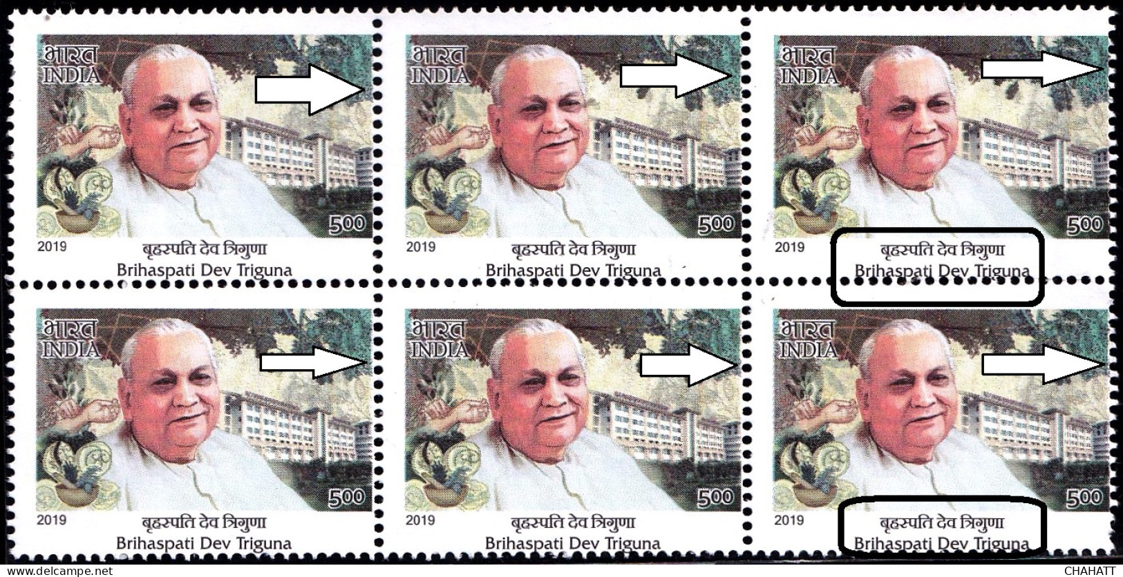 AYURVEDA- B D TRIGUNA - BLOCK OF 6- INDIA 2019- ERROR-PERFORATION SHIFTED IN ALL STAMPS -MNH-PA12-71 - Variedades Y Curiosidades