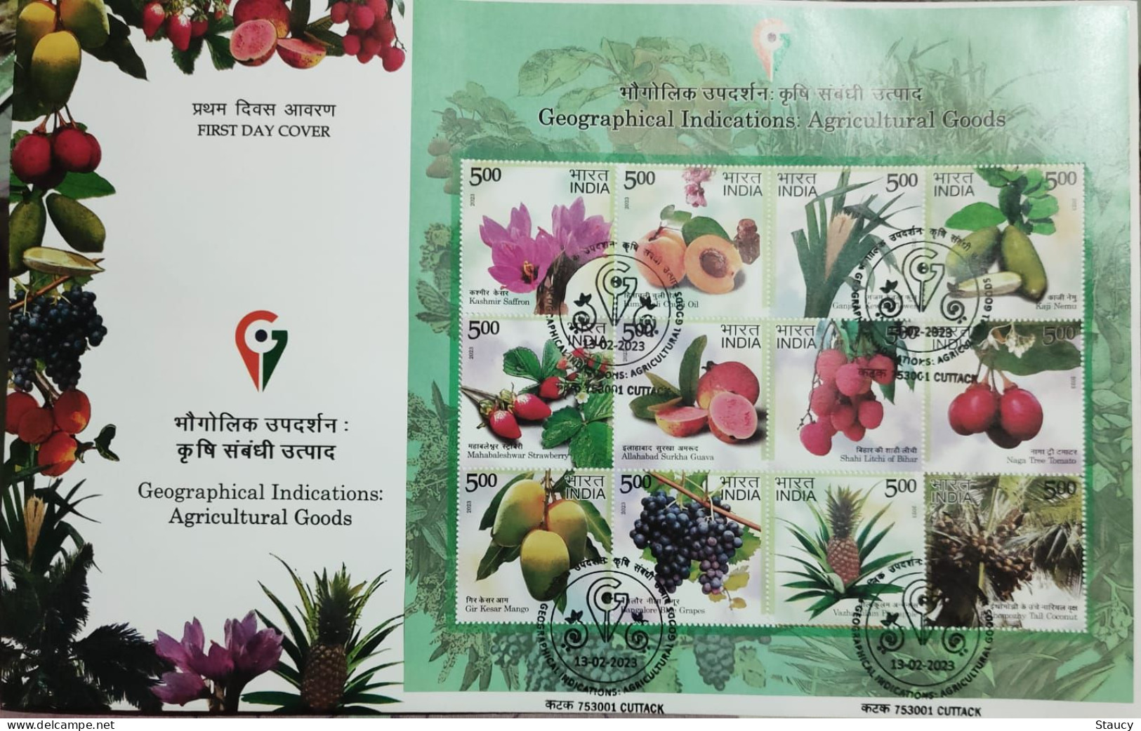 India 2023 GI Fruits Series Grapes Agriculture Mango Gastronomy SS First Day Cover FDC Cuttack Cancelled As Per Scan - Agriculture