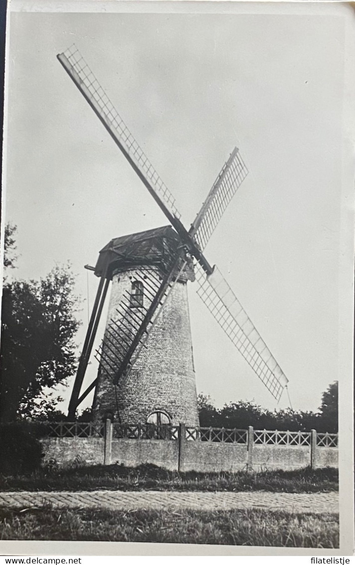 Lissewege De Molen - Brugge