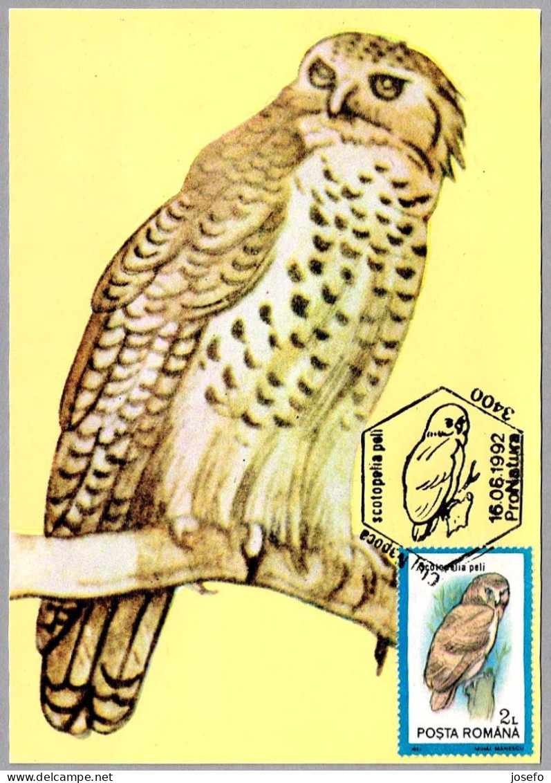 SCOTOPELIA PELI - Lechuza - Pel's Fishing Owl. Cluj Napoca 1992 - Werbestempel