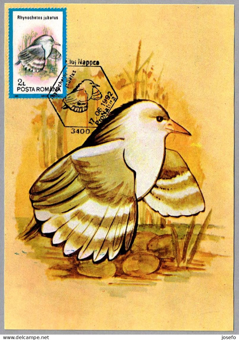 RHYNOCHETOS JUBATUS - Kagu. Cluj Napoca 1992 - Mechanical Postmarks (Advertisement)