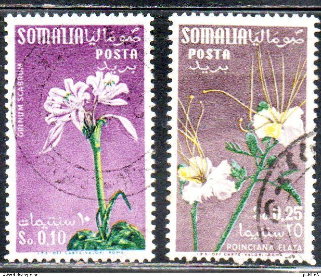 SOMALIA AFIS 1959 FOLORA FIORI FLOWERS SERIE COMPLETA COMPLETE SET USATA USED OBLITERE' - Somalia (AFIS)