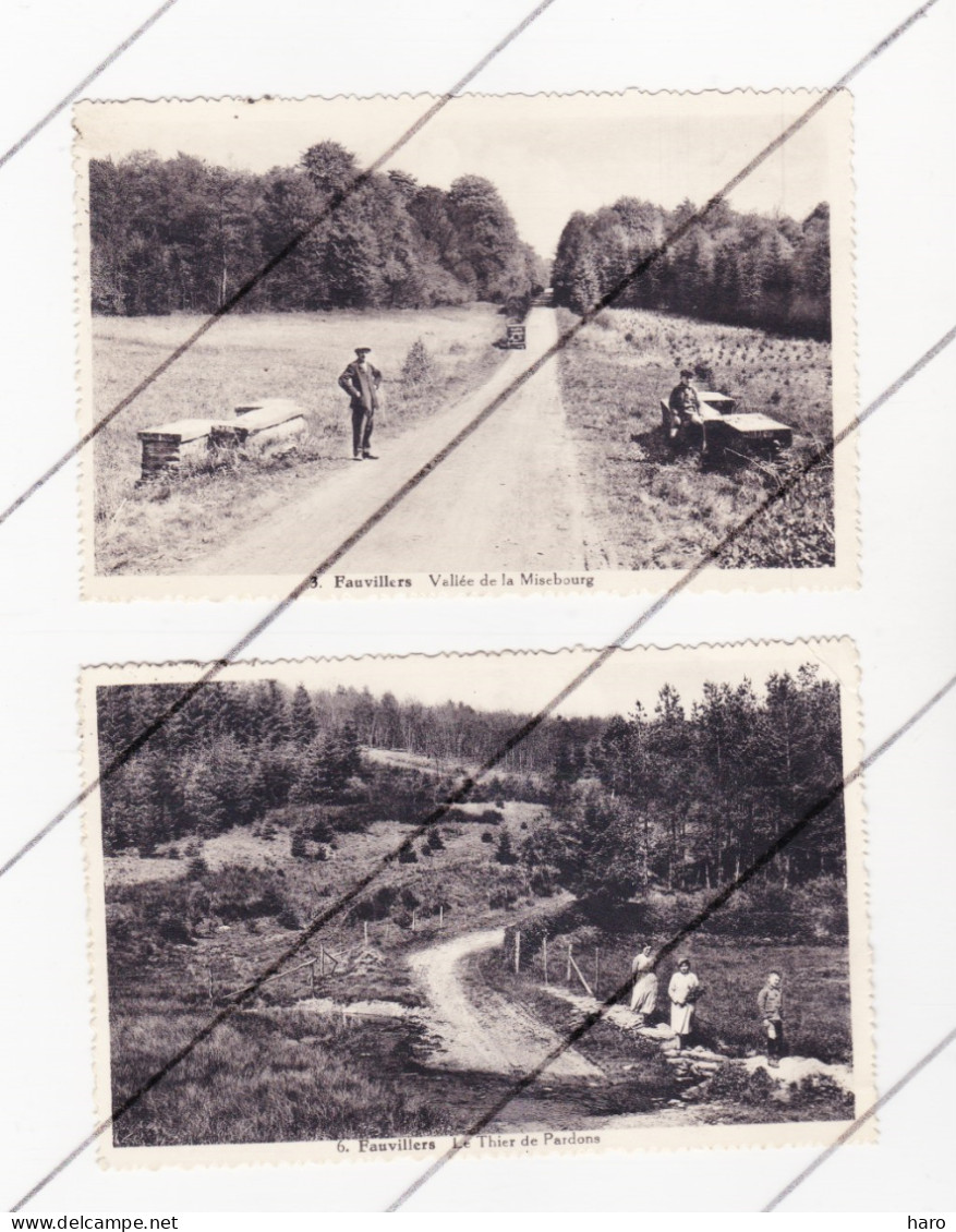 FAUVILLERS  - Lot De 2 CP -  Thier Des Pardons Et Vallée De La Misebourg - 1936 (B328) - Fauvillers