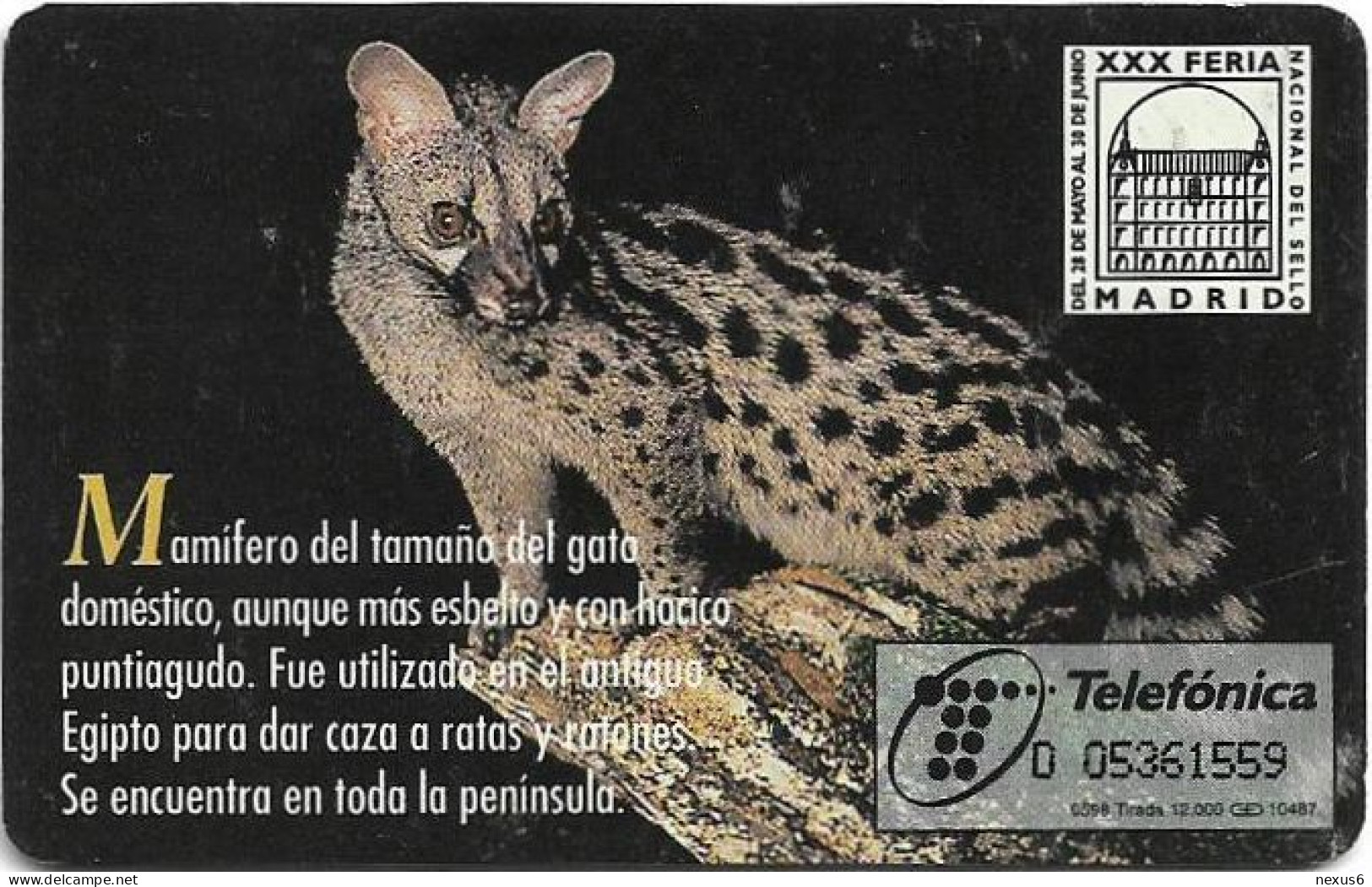 Spain - Telefonica - Fauna Iberica - Gineta Comun - P-330 - 05.1998, 12.000ex, Used - Privatausgaben