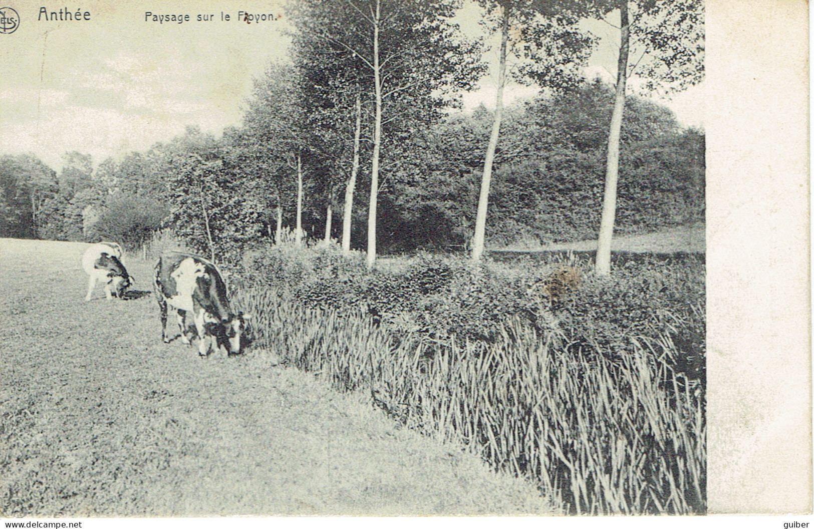 Anthée Paysage Sur Le Floyon Bucolique 1913 Edit. Henry Deroyer - Onhaye