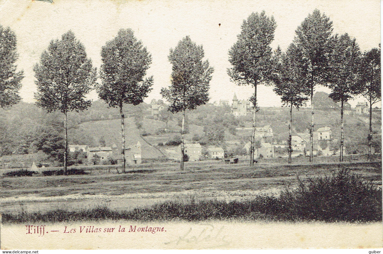 Tilff Les Villas Sur La Montagne 1904 - Esneux