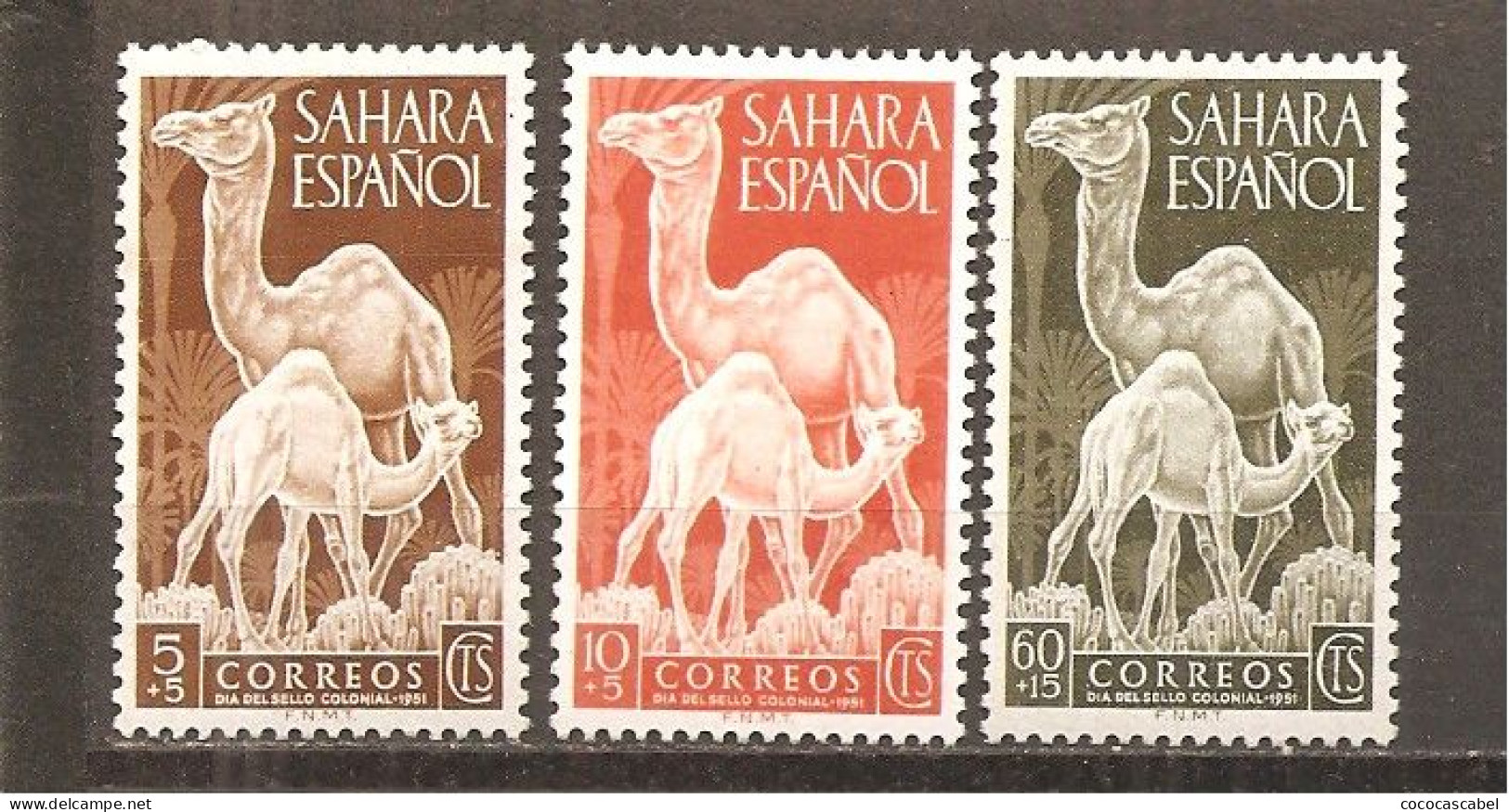 Sahara - Edifil 91-93 - Yvert 79-81 (MH/*) - Sahara Español