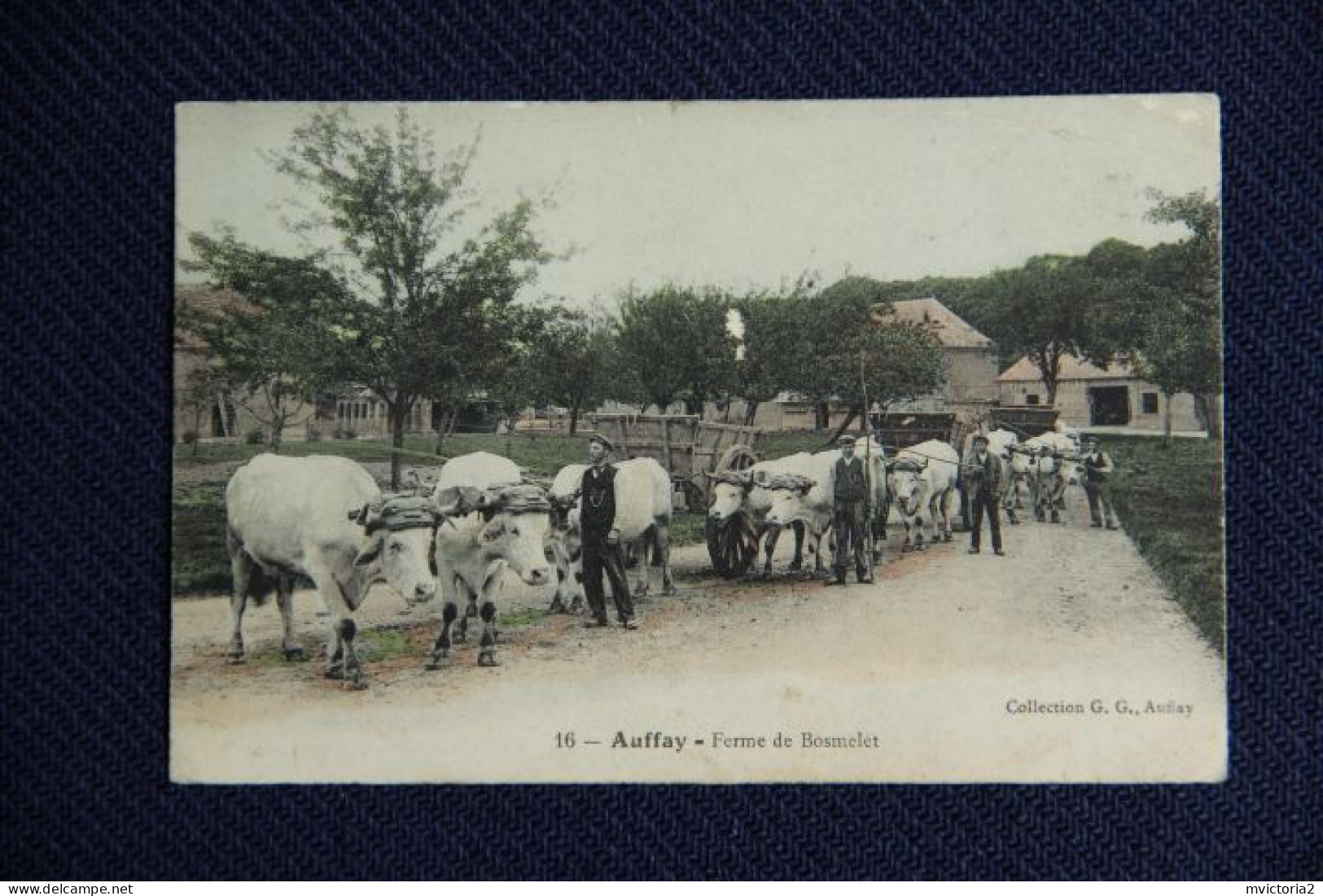 AUFFAY - Ferme De BOSMELET , Attelages De Boeufs - Auffay