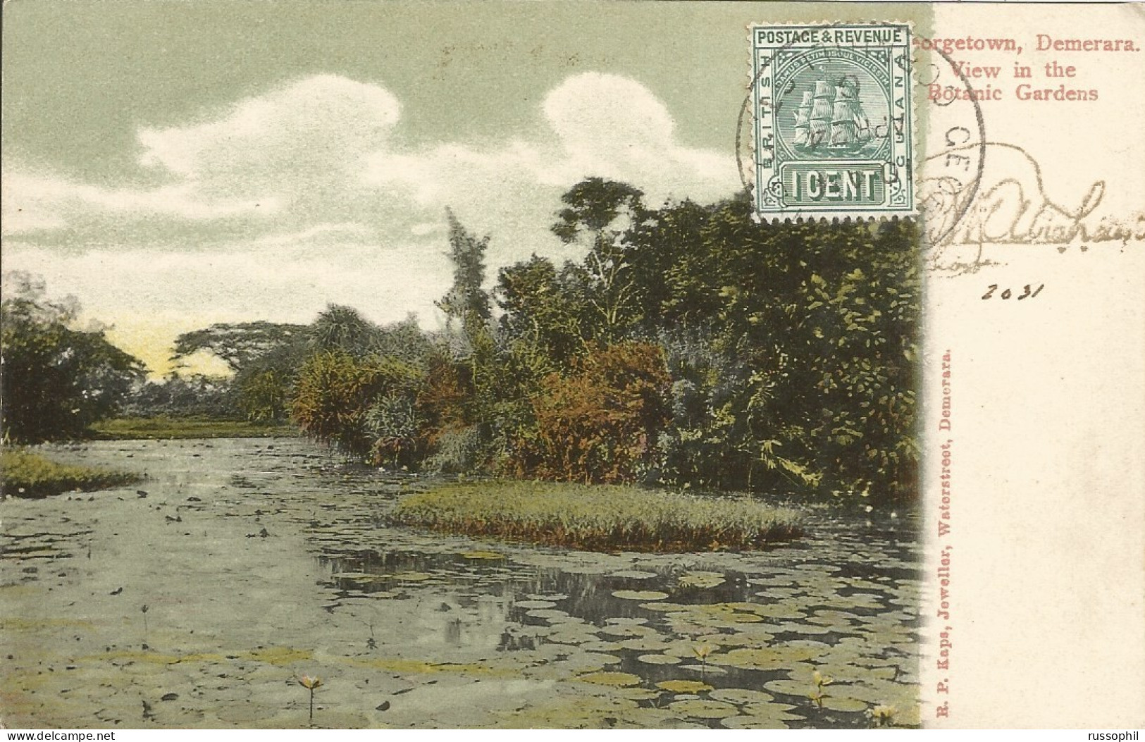 GUYANA - BRITISH GUYANA - GEORGETOWN, DEMERARA. VIEW IN THE BOTANIC GARDENS - ED. KAPS - 1906 - Guyana (ehemals Britisch-Guayana)