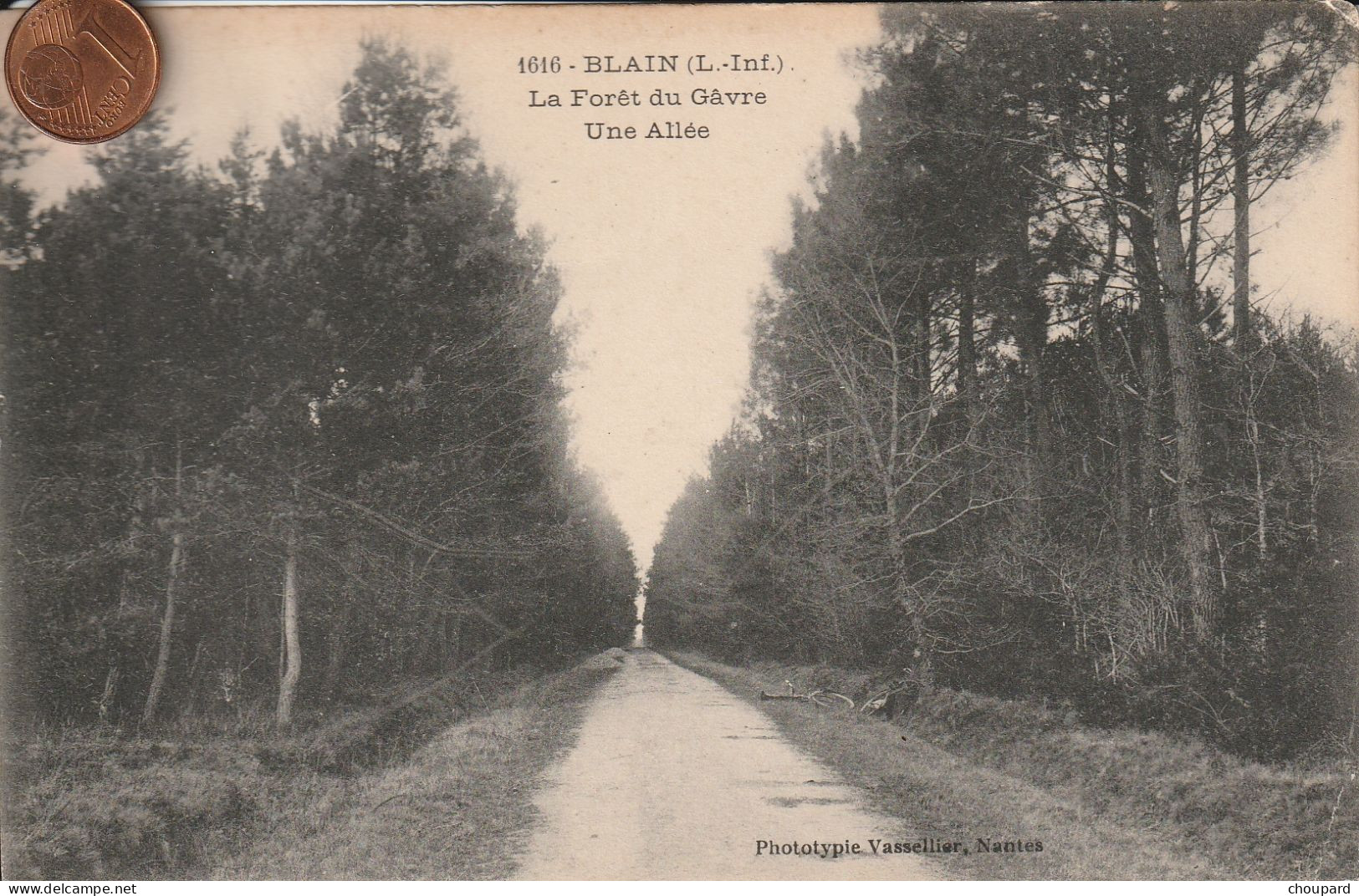 44  - Carte Postale Ancienne De BLAIN    La Forèt Du Gavre - Blain