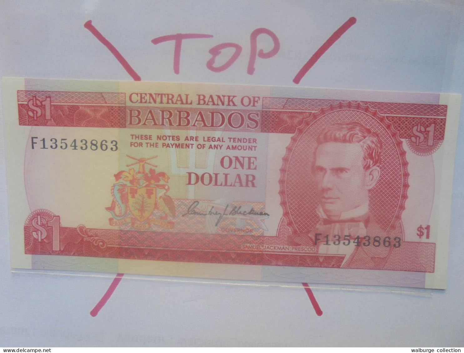 BARBADOS 1$ 1973 Neuf/UNC (B.29) - Barbades