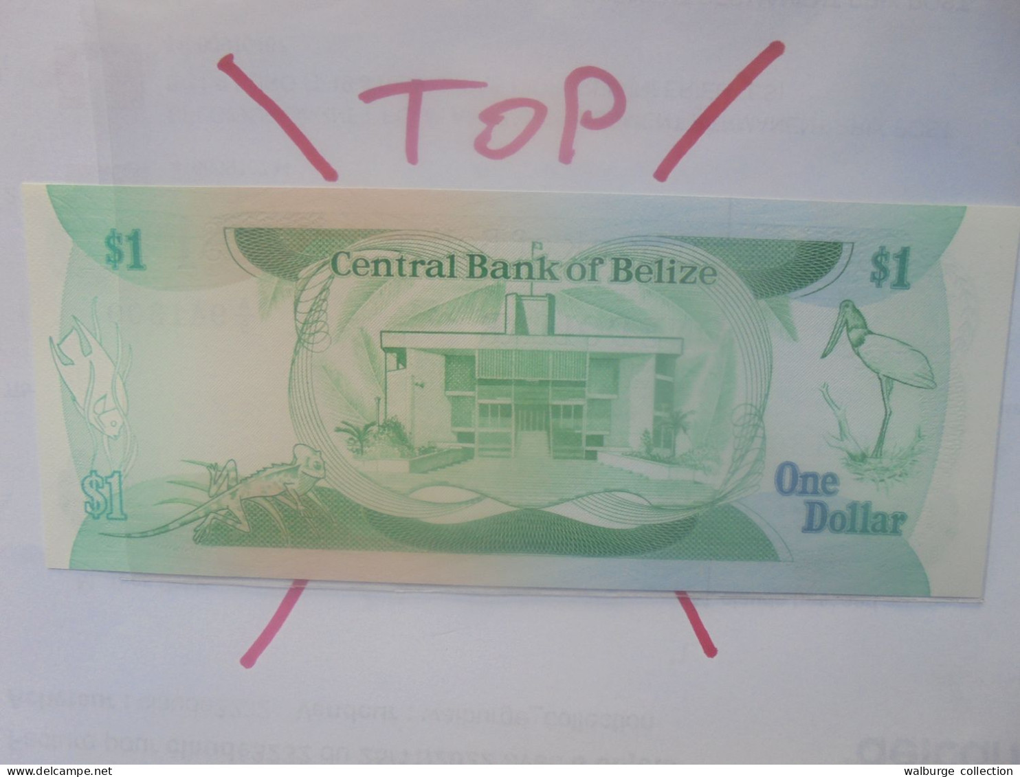 BELIZE 1$ 1986 Neuf/UNC (B.29) - Belize