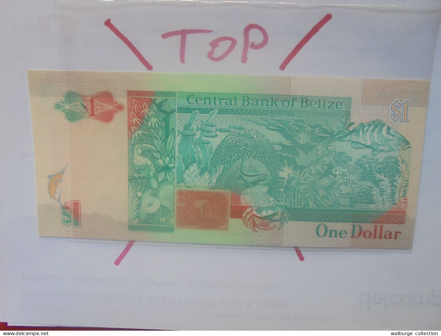 BELIZE 1$ 1990 Neuf/UNC (B.29) - Belize