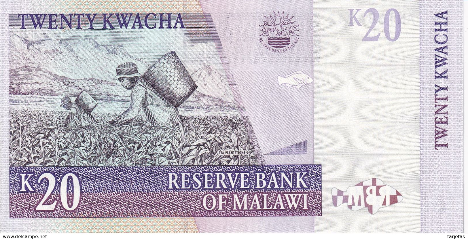 BILLETE DE MALAWI DE 20 KWACHA DEL AÑO 1997 SIN CIRCULAR (UNC) (BANKNOTE) - Malawi