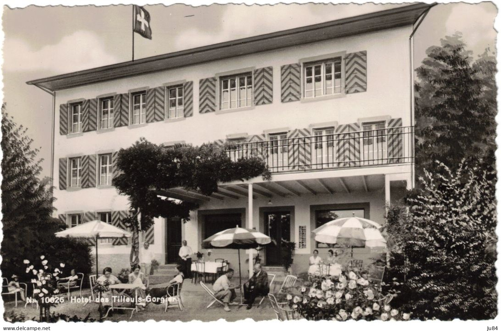 Suisse - Neuchâtel - Gorgier - Hotel Des Tilleuls - Carte Postale Vierge - Gorgier
