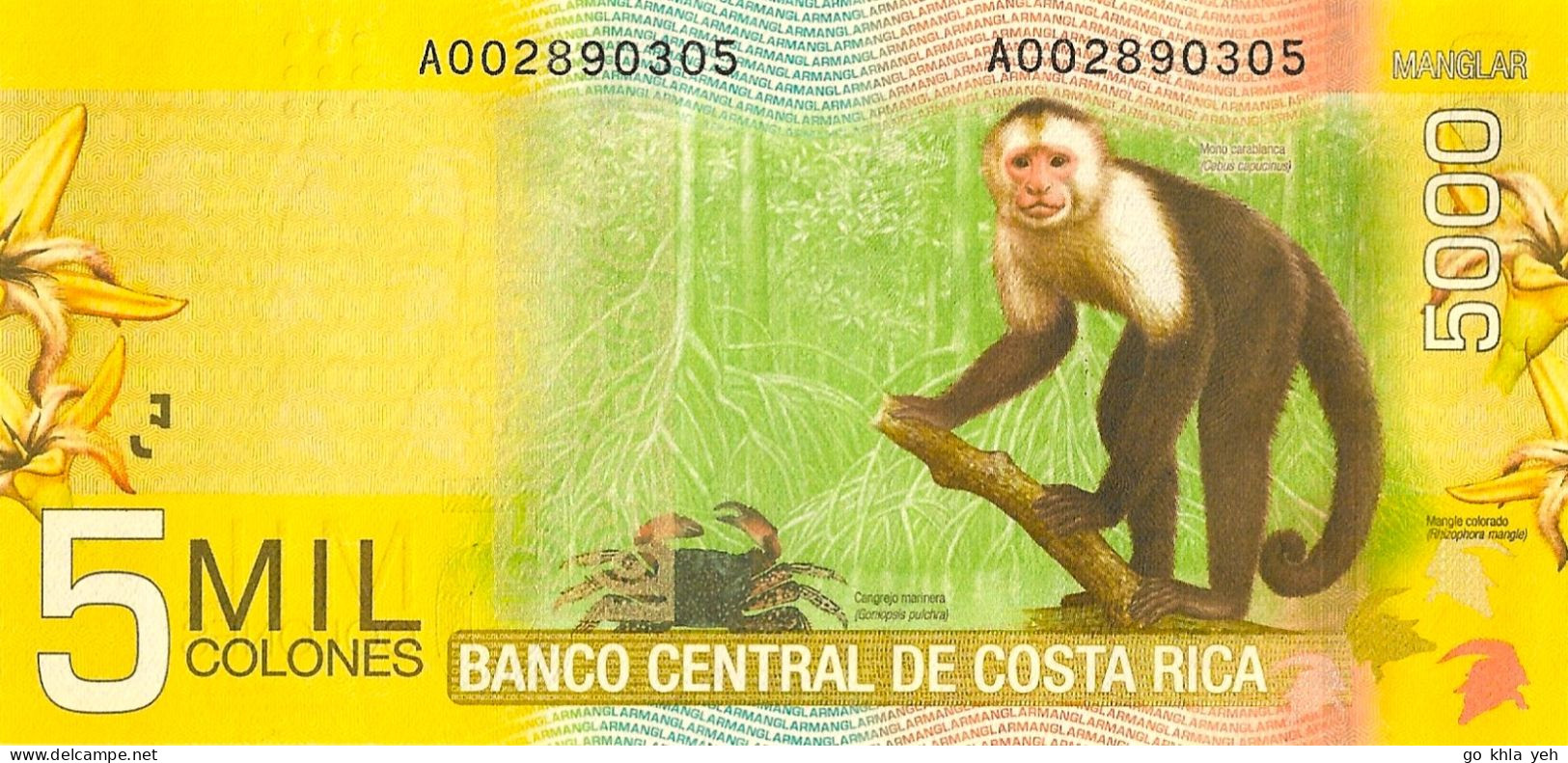 COSTA RICA  2009 5000 Colon - P.276a  Neuf UNC - Costa Rica