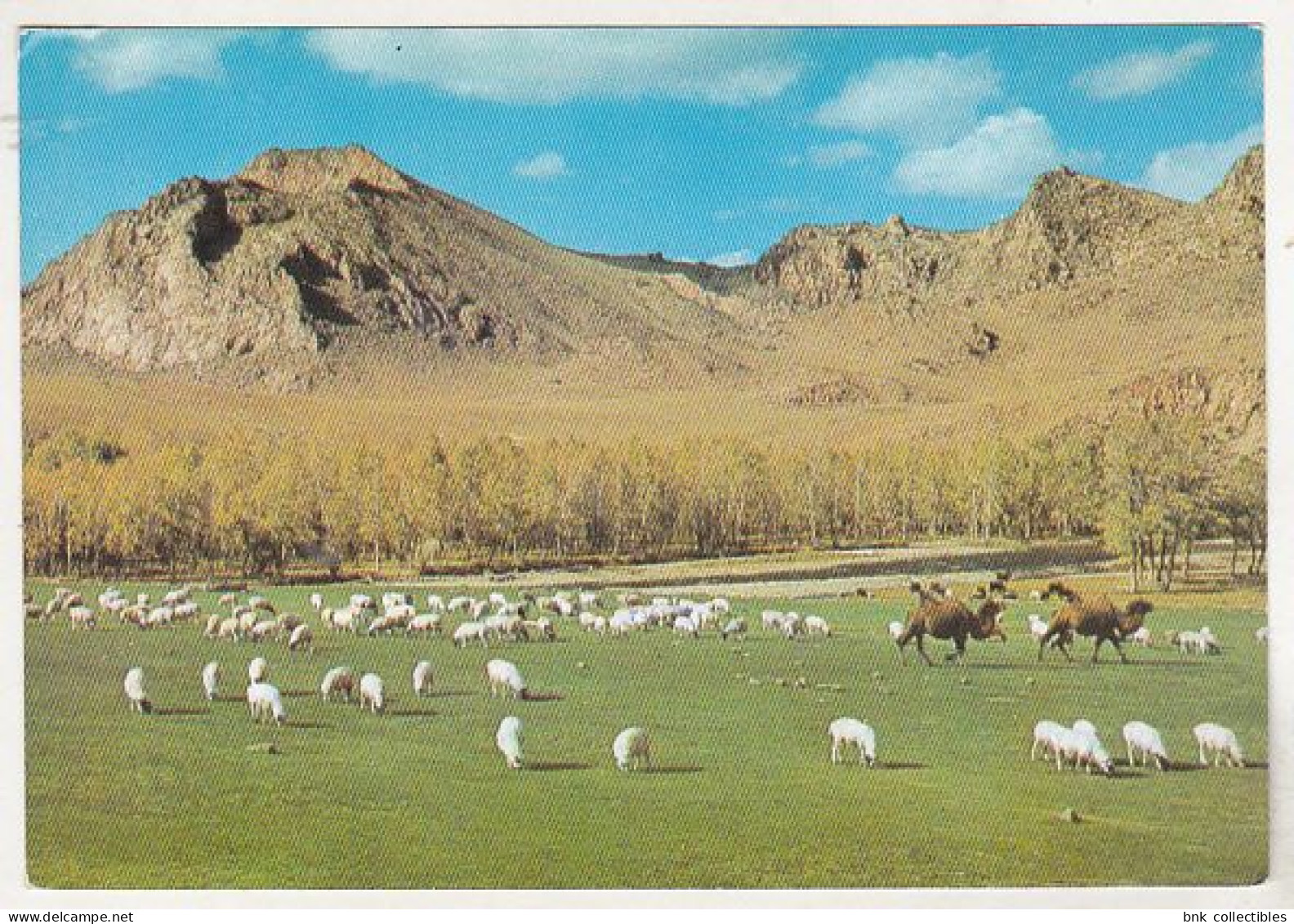 Mongolia Uncirculated Postcard - Bogdyn Gol River , Zabhan Aimak - Mongolia