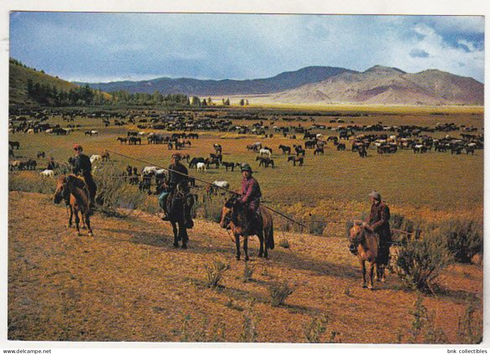 Mongolia Uncirculated Postcard - Herdsmen With Lasso  , Mongolia - Mongolië