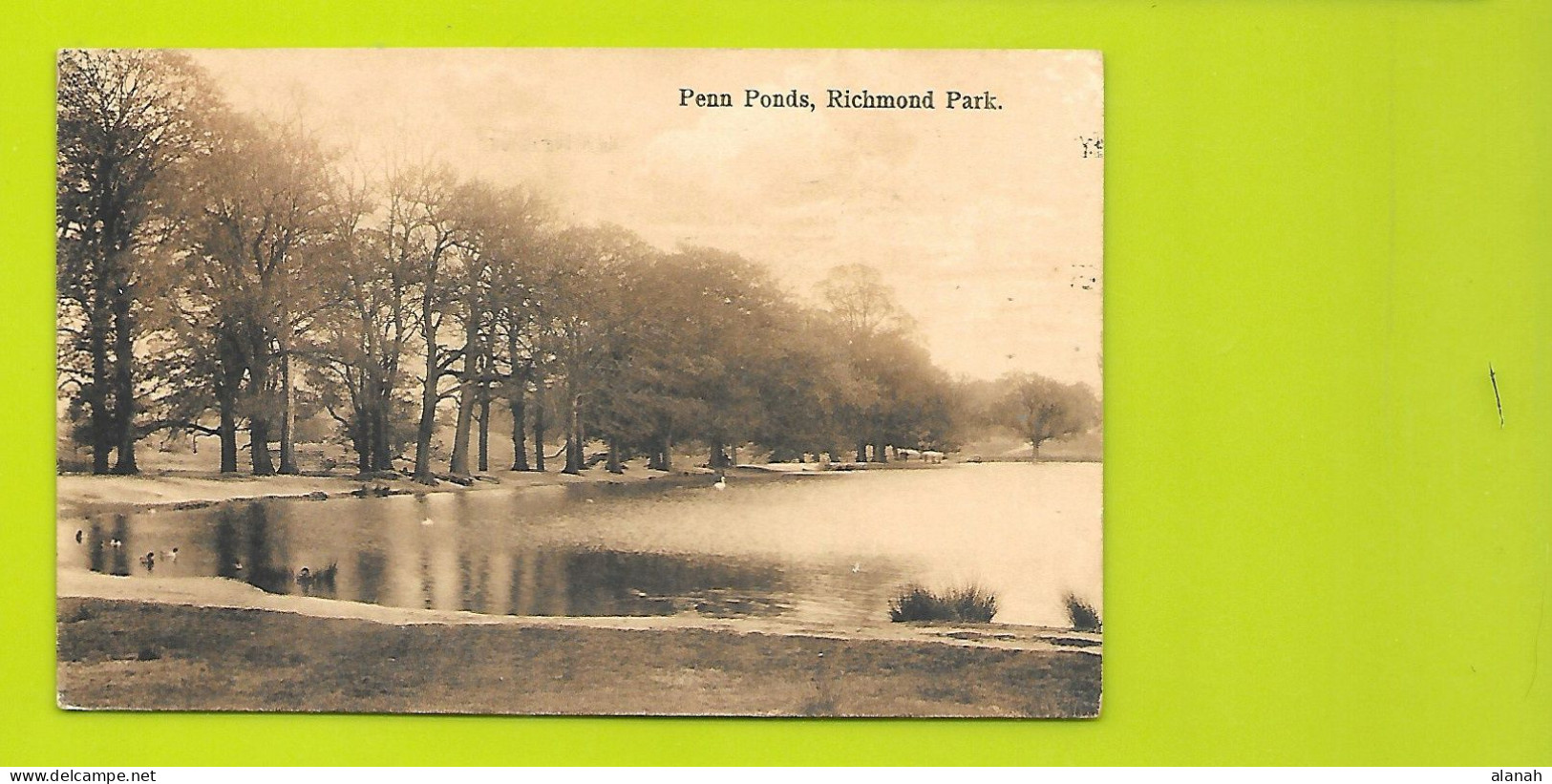 PENN PONDS Richmond Park Angleterre UK - Surrey