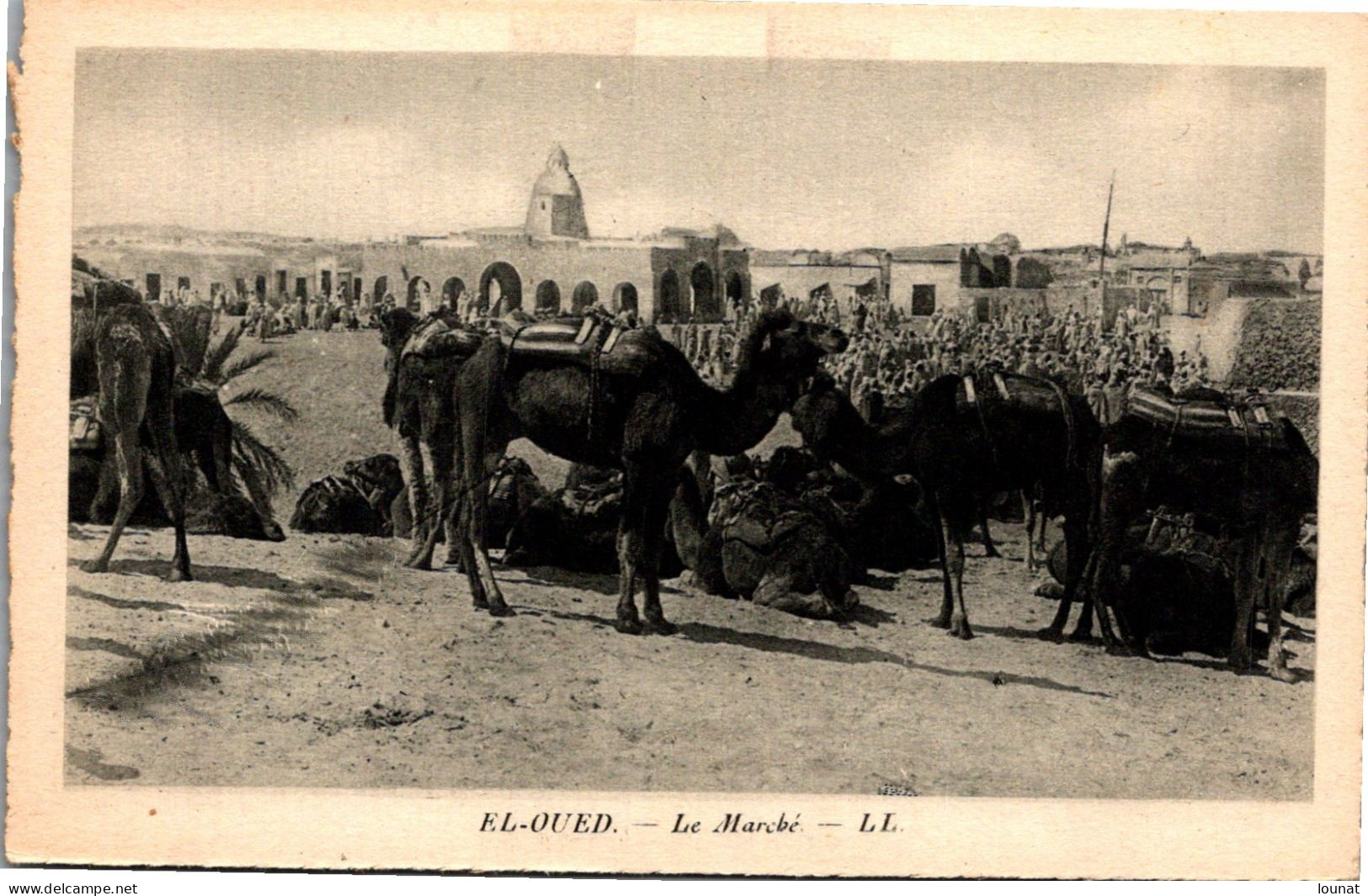 EL OUED - Le Marché - El-Oued
