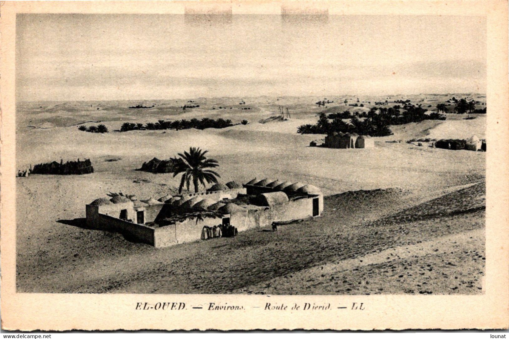 EL OUED - Route De Djerid - El-Oued