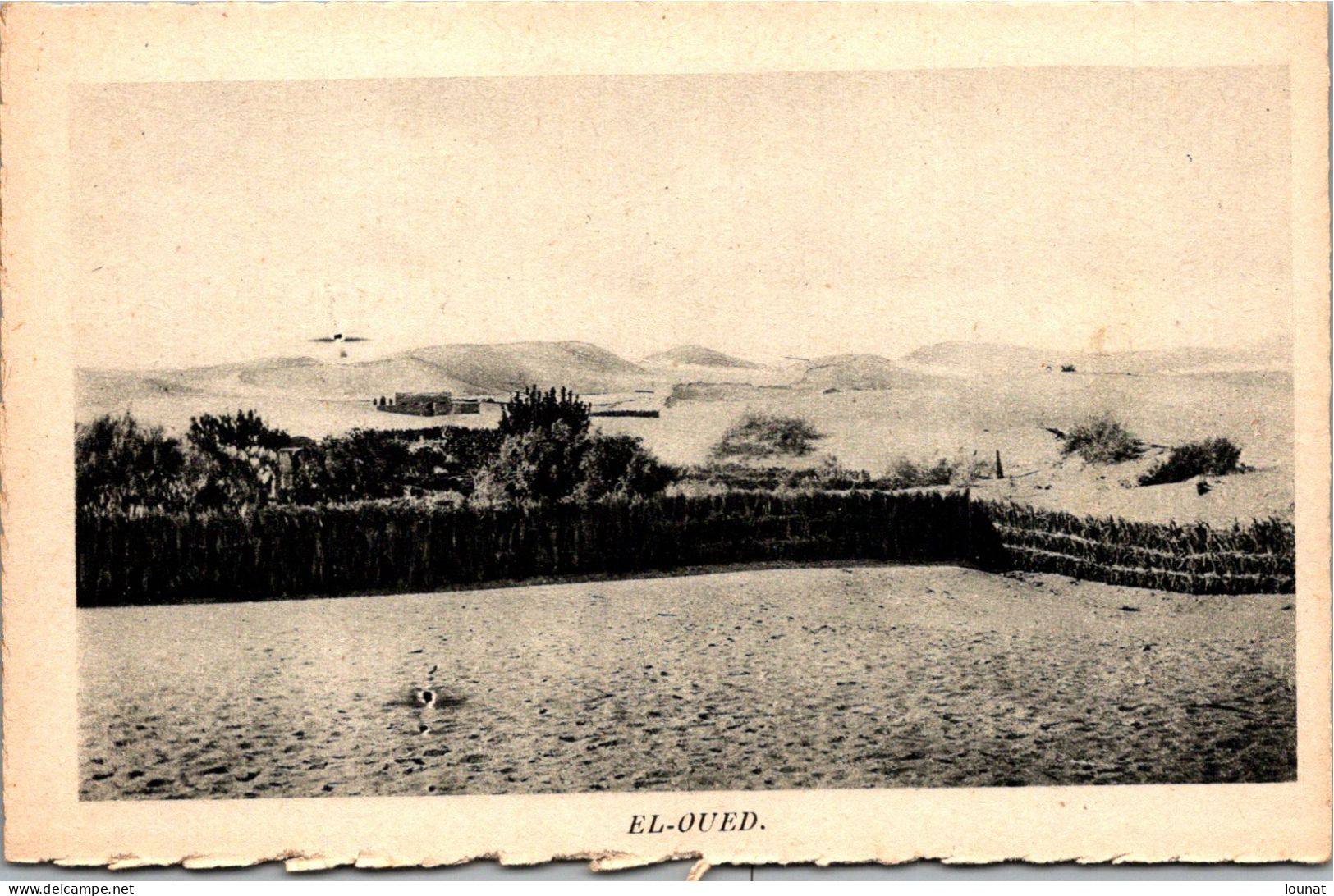 EL OUED - - El-Oued