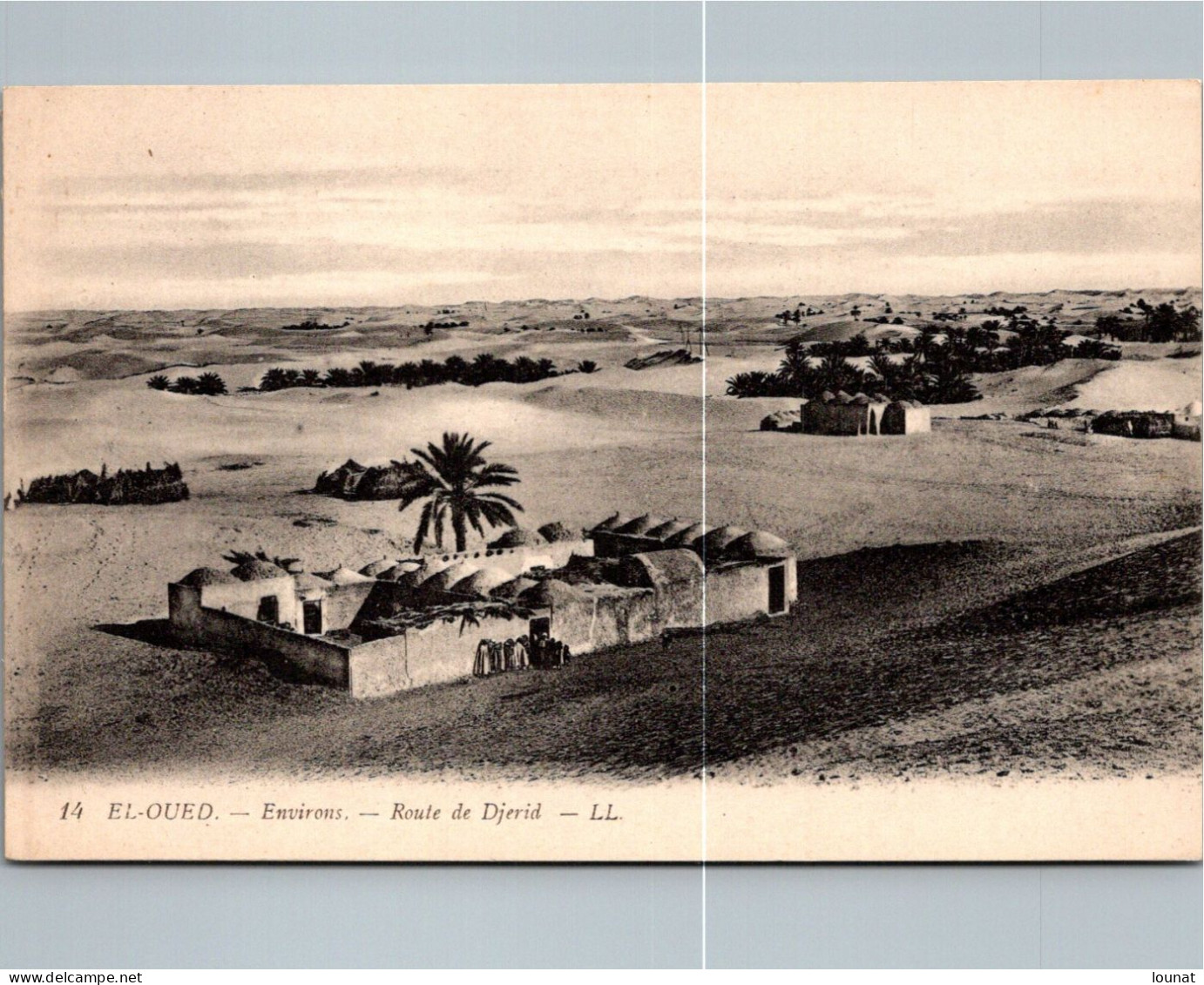 EL OUED - Route De Djerid     (défaut Scan Le Trait Blanc) - El-Oued