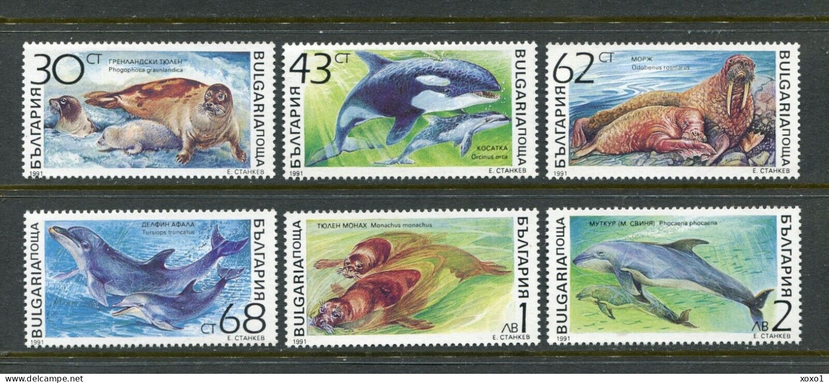 Bulgaria 1991 MiNr. 3959 - 3964 Bulgarien Marine Mammals Dolphins 6v MNH** 2.40 € - Dauphins