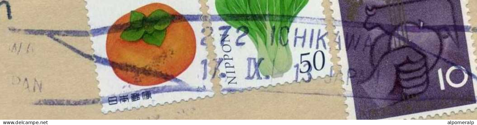 Japan 2013 Vegetable & Fruit | Air Mail Cover Used To İzmir From Ichikawa | Agriculture, Vegetables Fruits, Cattle, Hand - Vegetables