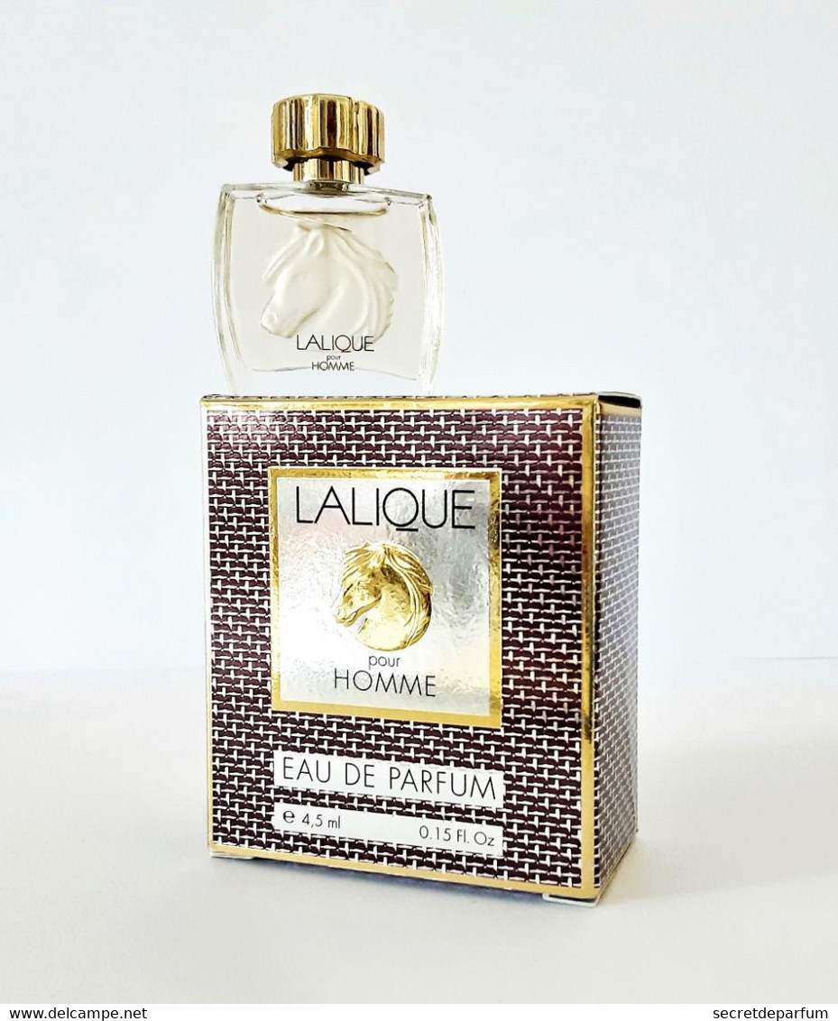 Miniatures De Parfum   LALIQUE Pour HOMME CHEVAL  EDP   4.5 Ml  + Boite - Miniatures Men's Fragrances (in Box)