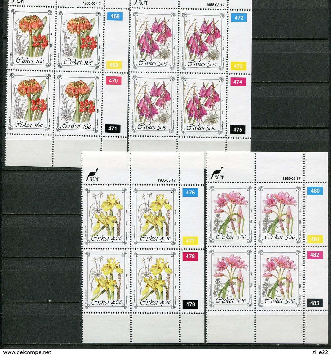 Ciskei Mi# 127-30 Zylinderblöcke Postfrisch/MNH Controls - Flora Flowers - Ciskei