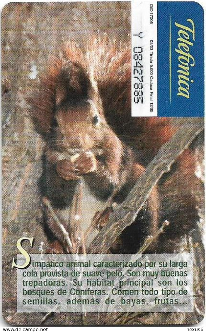 Spain - Telefonica - Fauna Iberica - Ardilla Squirrel - P-531 - 05.2003, 3€, 5.000ex, Used - Privatausgaben