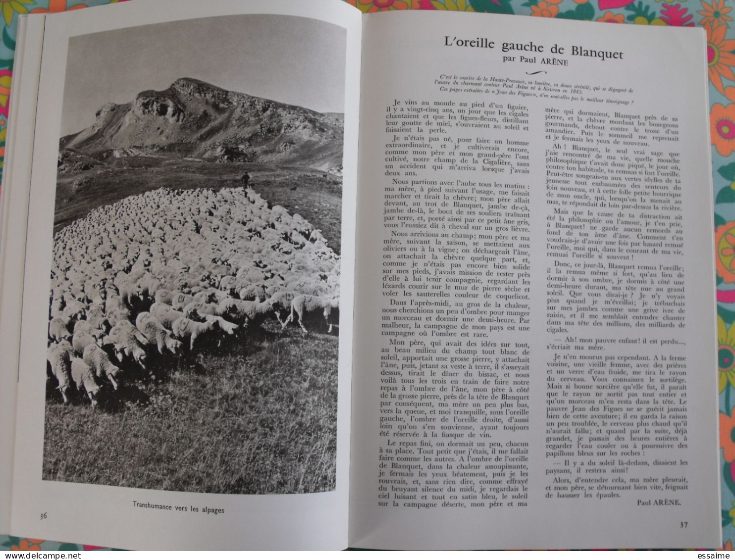 La France à table n° 143. 1970. basses-alpes. moustiers riez digne cazeres colmars entrevaux barcelonnette. gastronomie