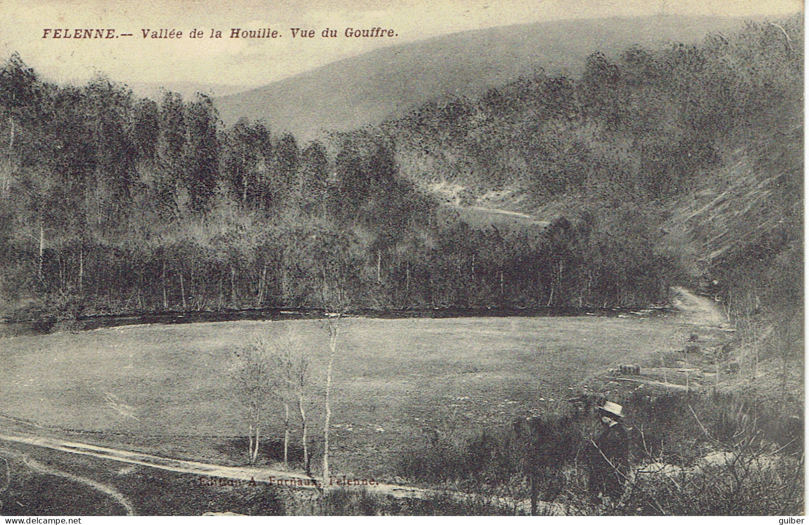 Felenne Vallée De La Houille Vue Du Gouffre 1911 Edit. Furnaux - Beauraing