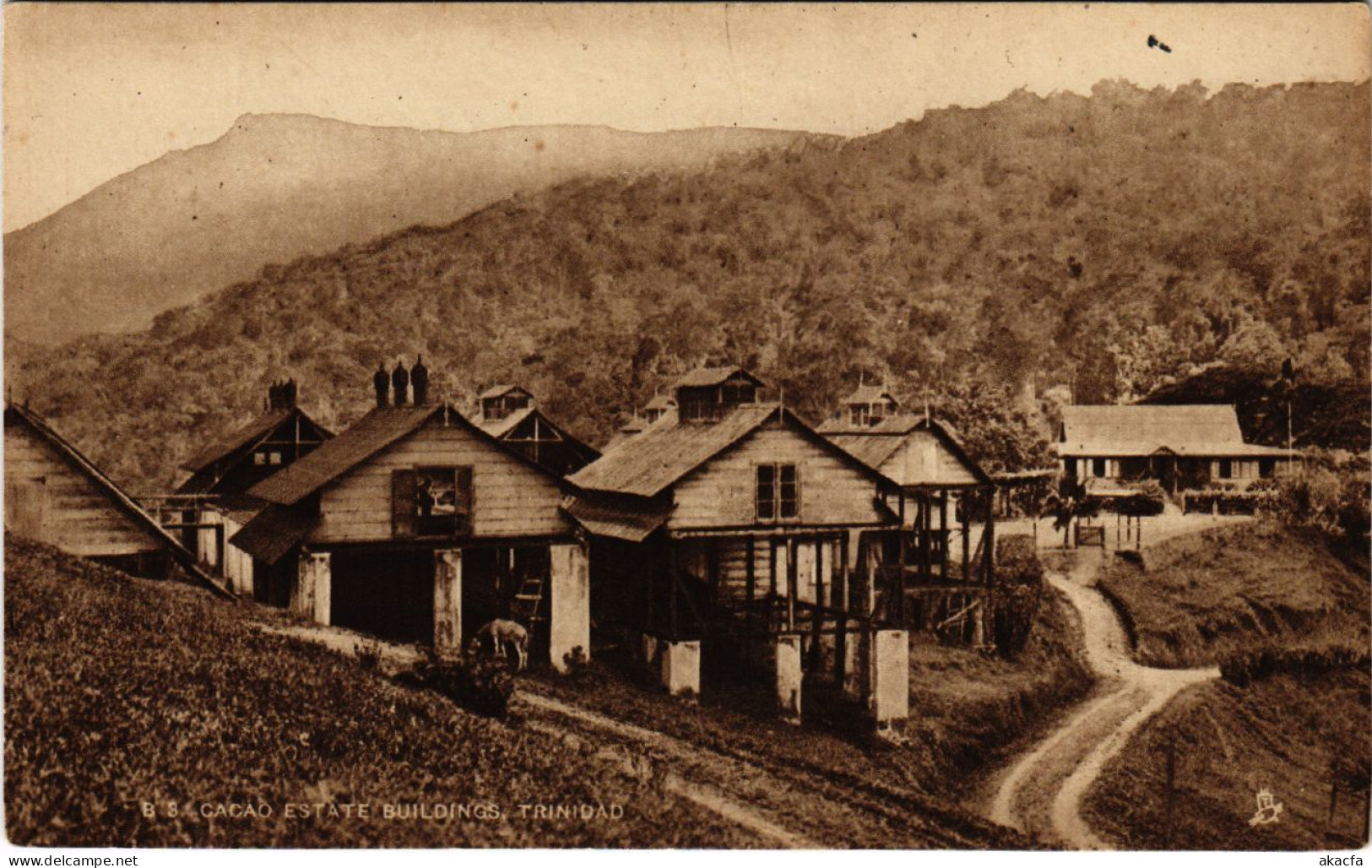 PC CPA TRINIDAD, CACAO ESTATE BUILDINGS, VINTAGE POSTCARD (b11305) - Trinidad